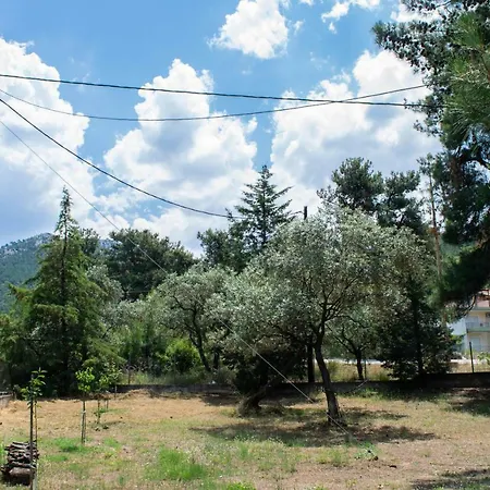 Jasmine House * Skala Rachoni (Thasos)